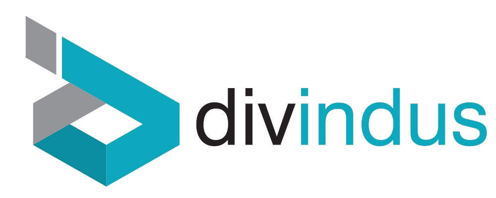 logo divindus.jpg